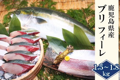 o3EFv3koogYhx29KrVbj.jpg?w=940&h=940