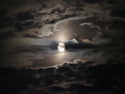 o4RgOUIXfmqJBt9BRqOF.jpg?w=940&h=940