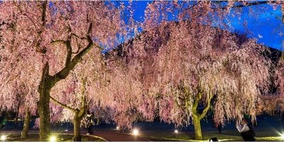 o4npVSvO5KgLuA9HFu1l.jpg?w=940&h=940