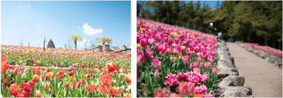 o4r4yTMNgnrBmYUolxsr.png?w=940&h=940