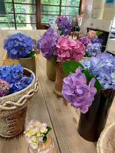 o55WwQK2CUz24jtuSfNj.jpg?w=940&h=940