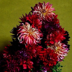 o5WG7GUouArWS49CdqpQ.jpg?w=940&h=940