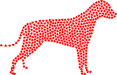 愛犬の毛はどうしてお手入れしないといけないの？