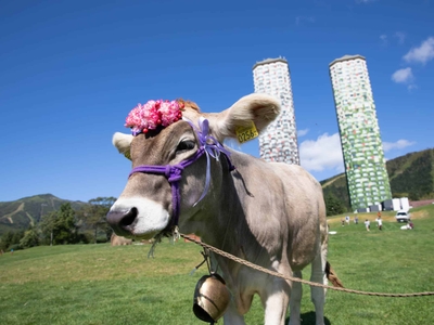 o9uD6TWEzaOJ9ZkwGyUI.jpg?w=940&h=940