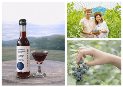 oAd25XxyKcE8xJz0VdVb.png?w=940&h=940