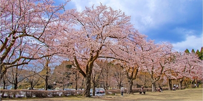 oAqpOFnjHBSBfs7sh0cd.jpg?w=940&h=940