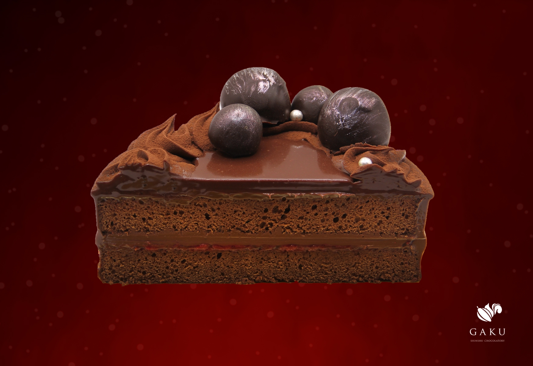 GAKUクリスマスザッハトルテ断面