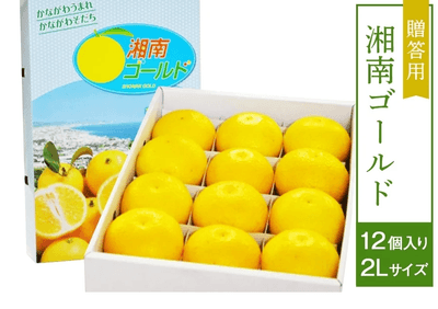 【贈答用】湘南ゴールド(２Ｌ １２個入り)