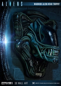 oCuUCy50yLOLaMuUuIon.jpg?w=940&h=940