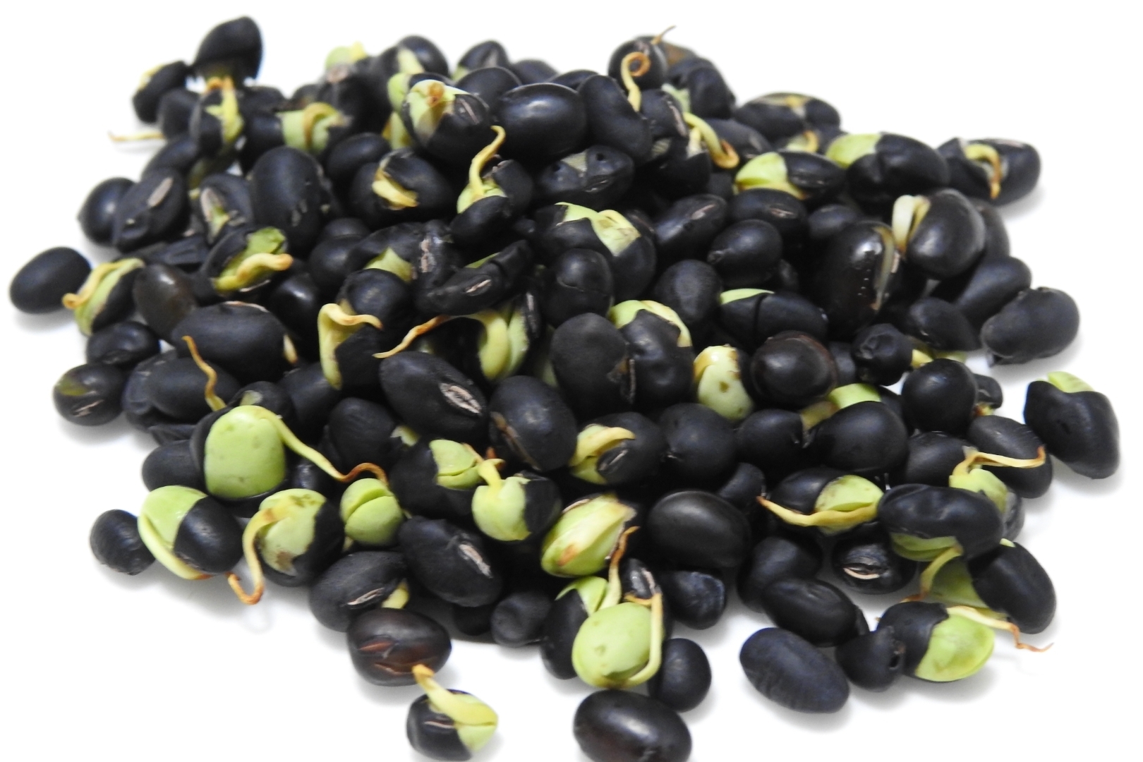 発芽黒千石大豆