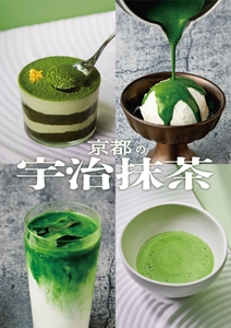 oFMrSvtXoMXt5GtR8aN4.jpg?w=940&h=940