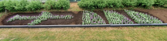 「#武蔵野中央公園ガーデンショー」と付けて発信してみよう!