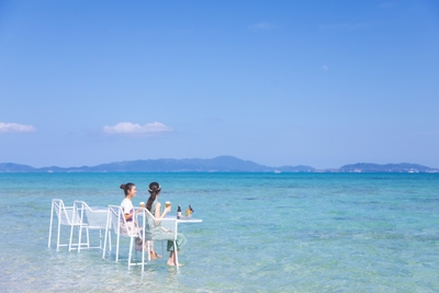 oIUFKGAi39OKLu1ZcKz0.jpg?w=940&h=940