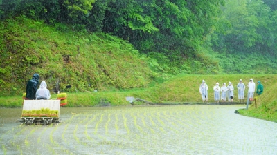 oK5S2rCVa1fO2P6OO5pY.jpg?w=940&h=940