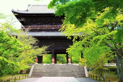 oKvHH55qQQ4GwipvJ7ml.jpg?w=940&h=940