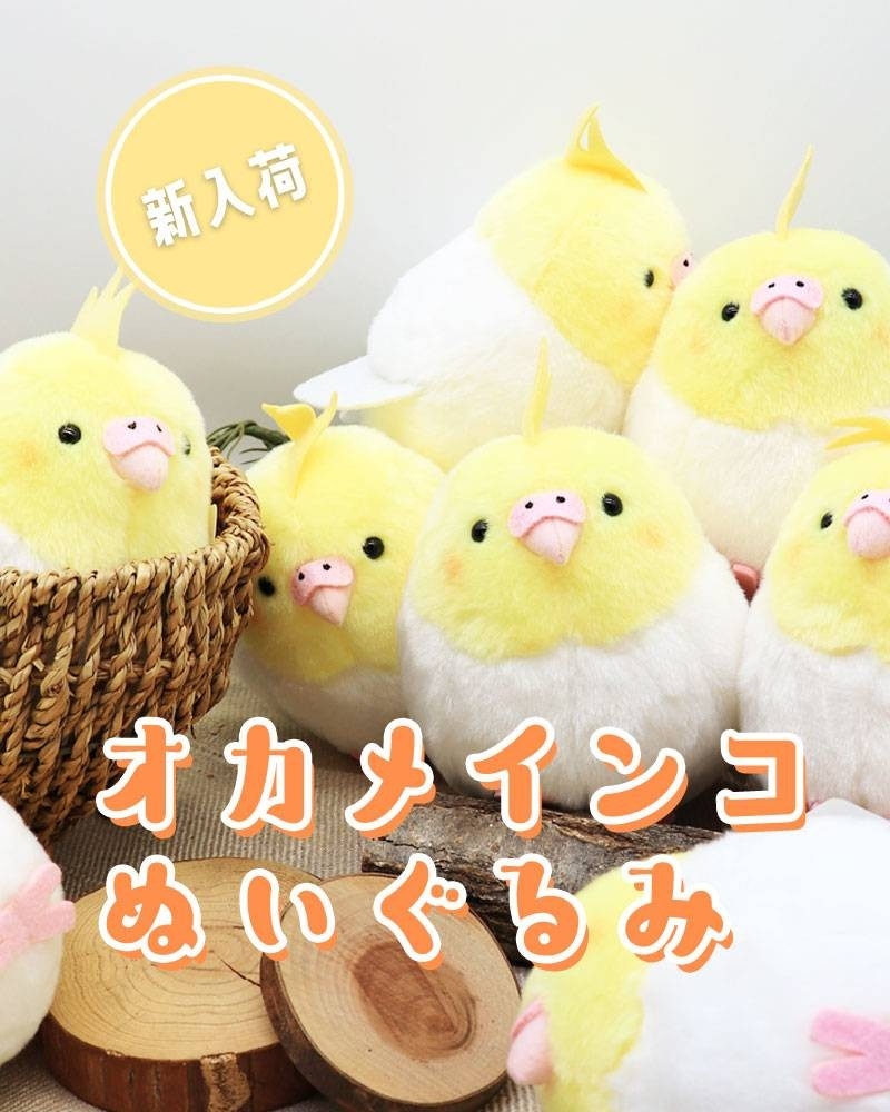 【新発売】大人気シリーズに待望の新作が登場！
ことりすまいるの手のひらサイズ"もふもふ"な相棒「オカメインコ ぬいぐるみ」
