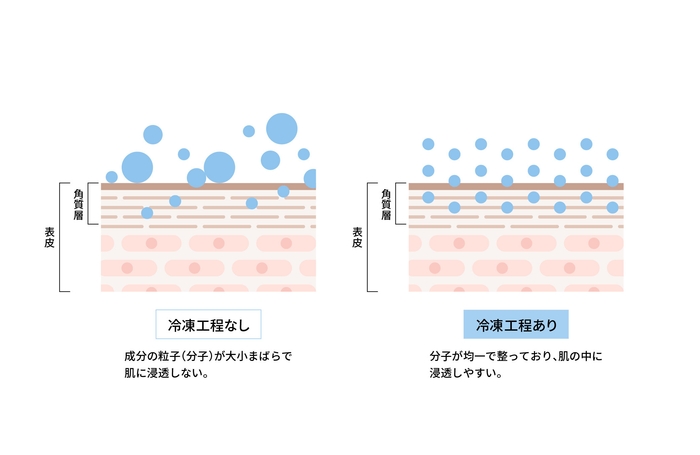 冷凍することで整える分子の配列と浸透イメージ