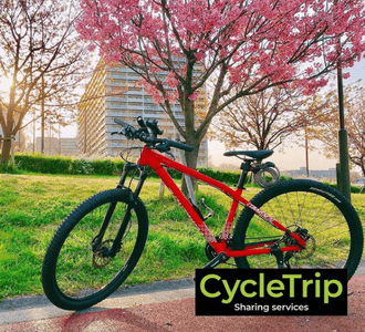 oNwCzpCbkMidp7NDsZky.png?w=940&h=940