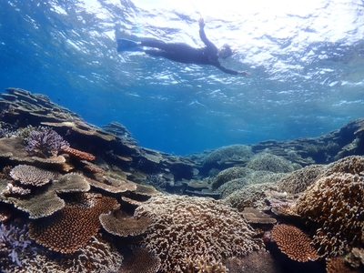 oO2RvLHGPdmUHKt15ZjM.jpg?w=940&h=940