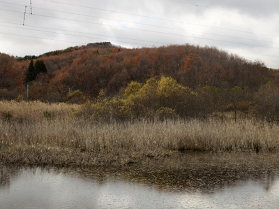 「Remembrance」より 2011