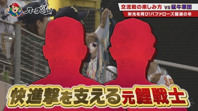 oP4CqmjJcyVcFSTZax5E.jpg?w=940&h=940
