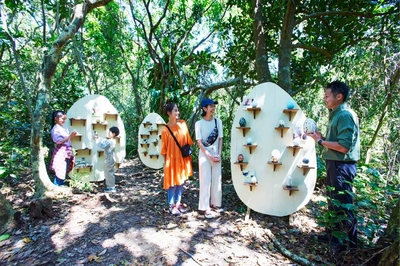 oPsWsIaQ8dD26C1jHunz.jpg?w=940&h=940