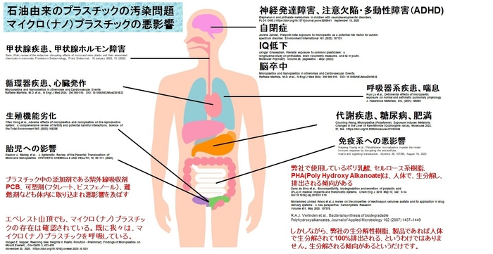 ナノプラスチックなどのプラスチック汚染による人体への健康リスク