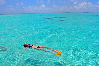 幻の大陸で感動のシュノーケル体験を