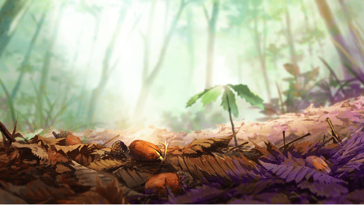 アニメ参考画:ドングリからの芽生え