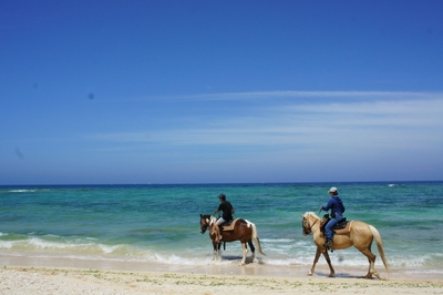 oRLcsbpxYunELz9L3VNI.jpg?w=940&h=940