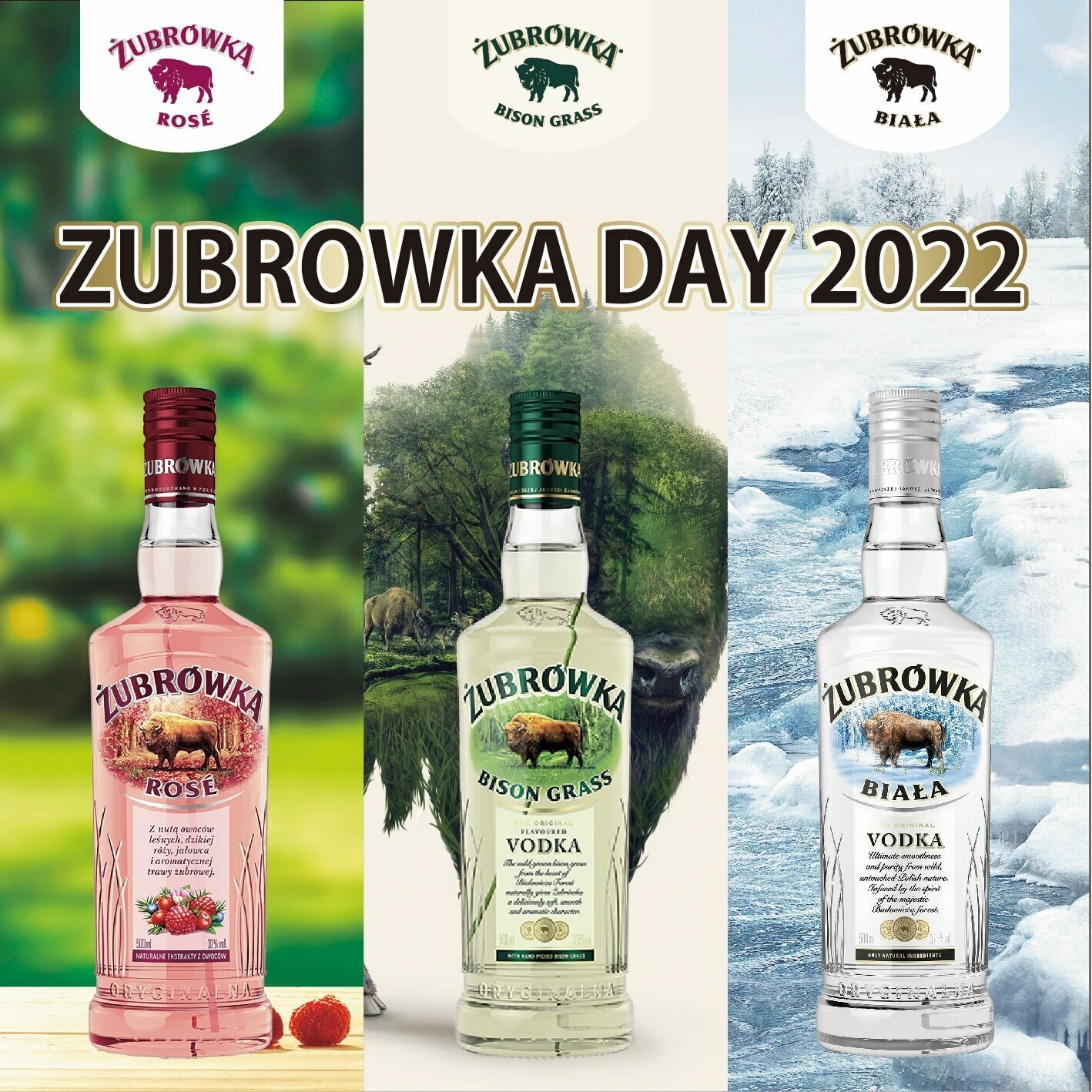 oS8p1jdwM7WOjTpzgJaS.jpg