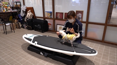 oSbNiGVPeclblqrGyGHg.jpg?w=940&h=940