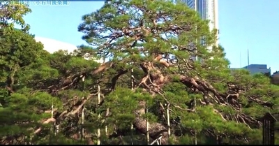 oVt5V01rU4Iy8AgyOWHY.jpg?w=940&h=940