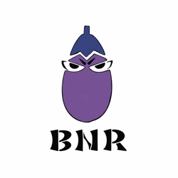 一般社団法人BNR