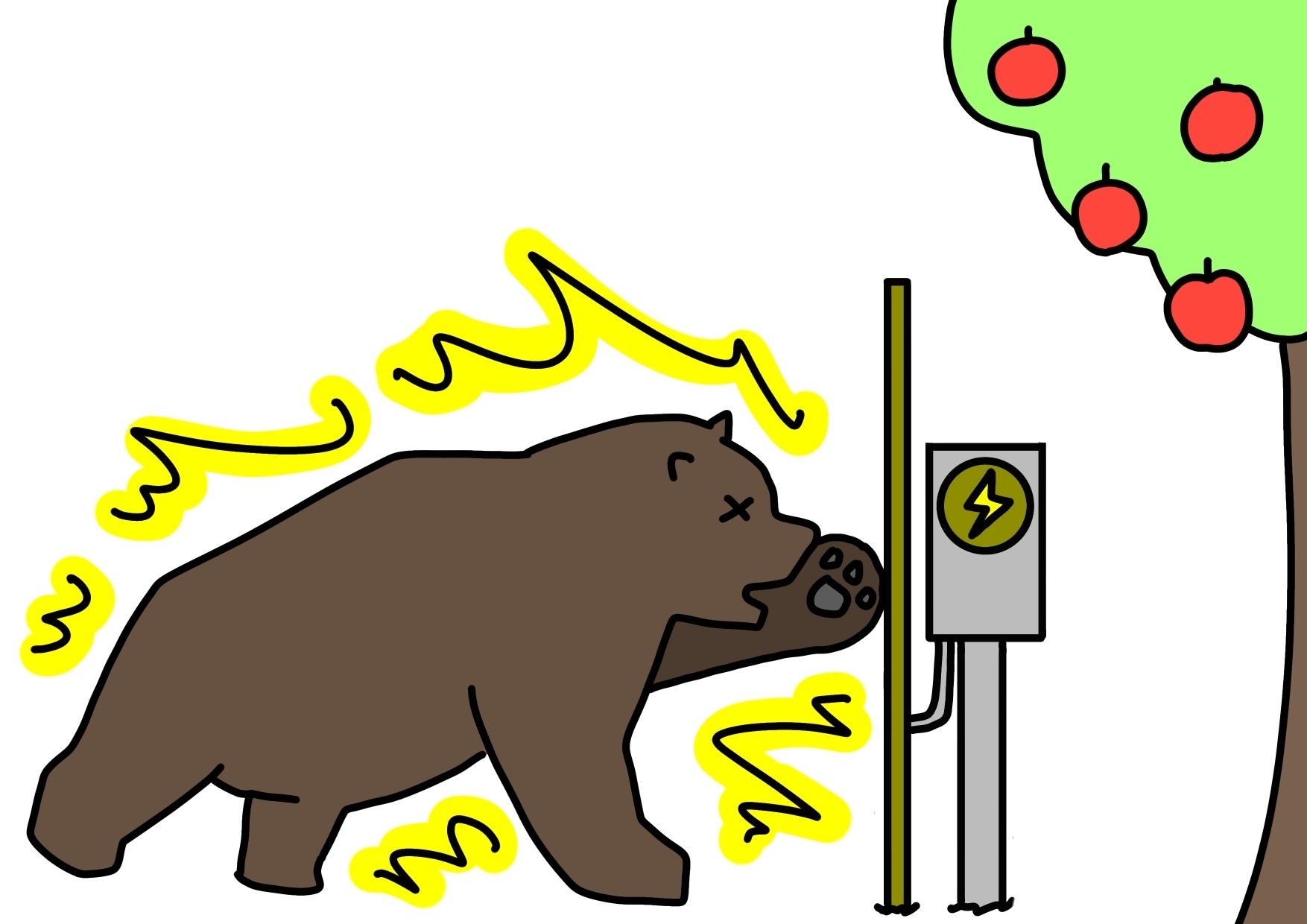 写真(3):電気柵の設置状況