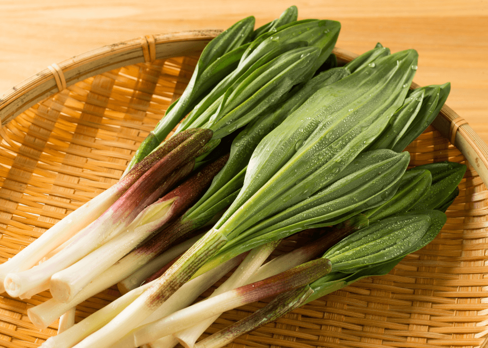 北海道産行者にんにく配合