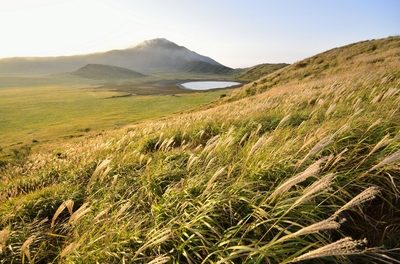 oXRB3TKmWxDrQfM2Qf1S.jpg?w=940&h=940