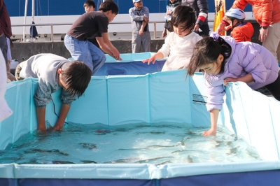 oXXqLzOKS3wYFB5DQBTK.jpg?w=940&h=940