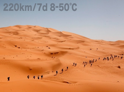 oXvffoOmtFJNslZfd90t.jpg?w=940&h=940