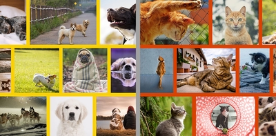 oYRAtb6ARApoTlDnO167.jpg?w=940&h=940