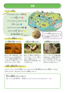 oZOXcxHLskBnNBr9XGTF.jpg?w=940&h=940