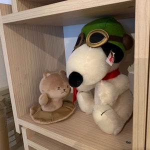 oZUp0GL1NtXdzygZQIEC.jpg?w=940&h=940