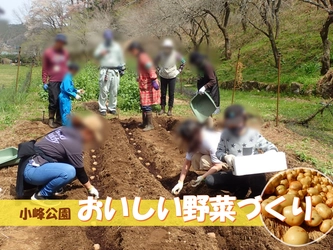 春の作付けから初夏の収穫までを体験！小峰公園で4/6(日)から始まる「おいしい野菜づくり」(全4回)参加者募集！