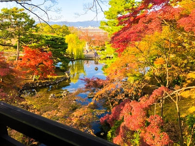 oaF0TshFMq71Pc6U4hZq.jpg?w=940&h=940