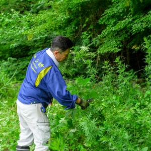 ob3Gfb9xAr118FdZ8M8T.jpg?w=940&h=940