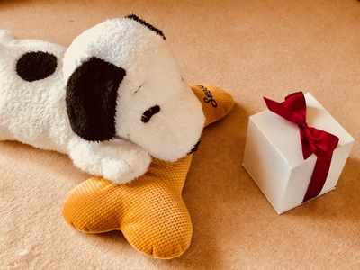 ob6wvb97utL9DPKxMeph.jpeg?w=940&h=940