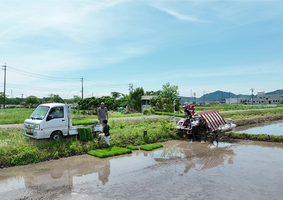 【米の生産（1次産業）】