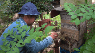 odRK5uoNKRwziM8KLOU9.png?w=940&h=940