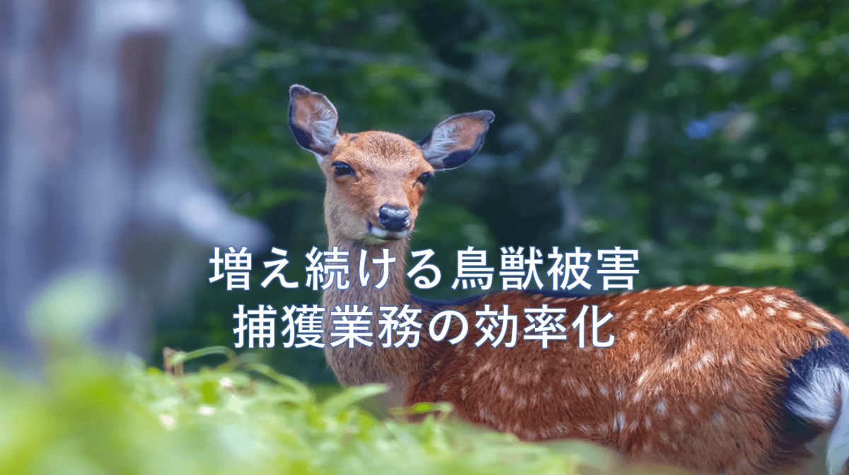 リアルグローブ、鳥獣害対策の現場で手間のかかる「鳥獣捕獲の管理業務」に、「現場情報投稿システム REPORT&SHARE(レポートアンドシェア)」導入により効率化に成功した事例を公開!