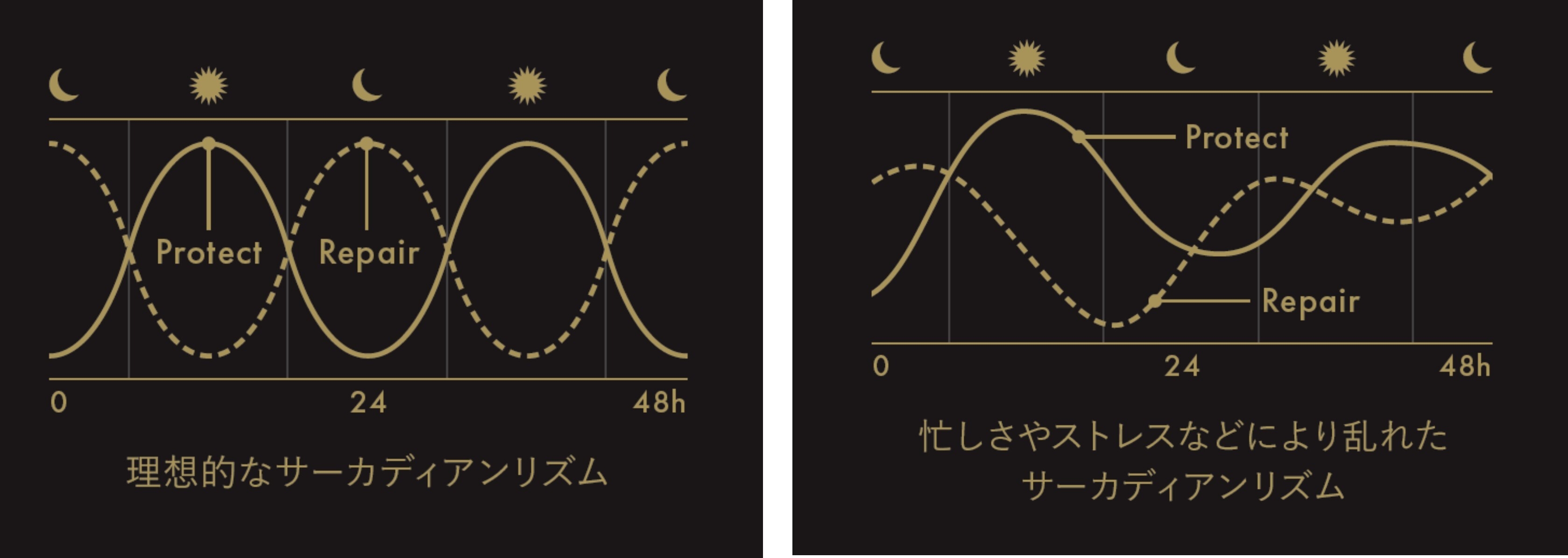 サーカディアンリズム